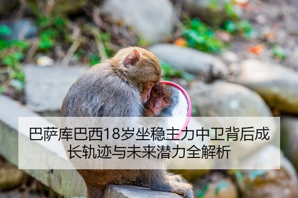 巴萨库巴西18岁坐稳主力中卫背后成长轨迹与未来潜力全解析