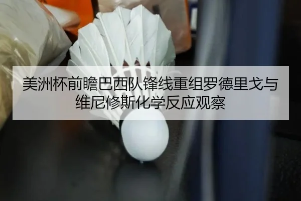 img_1780943941387_806_0_776.jpg | kaiyun